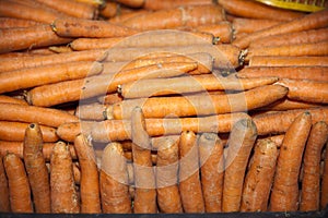 Freshly picked carrots