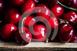 Freshly picked cherries in the garden