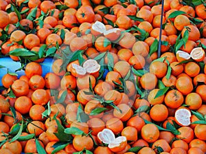 Freshly picked clementines in a large heap. It is a hybrid between mandarin and sweet orange