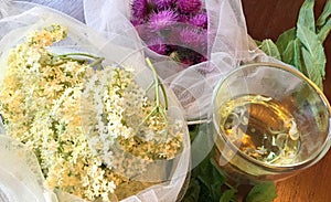 Freshly picked food. Growing wild in the forest they are a popular and delicious addition to autumn meals.