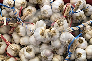 Freshly picked garlic in azure basket on market.