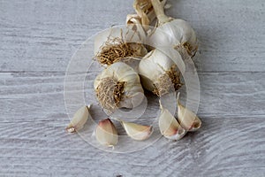 Freshly picked garlic in azure basket on market. Useful vegetables for spicy, spice. Macro photo onion. Top view.