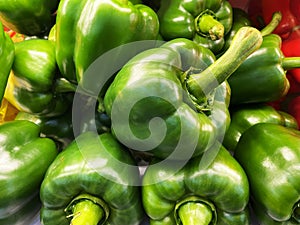 Freshly picked green bell peppers on display at the market