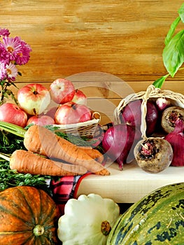 Freshly picked harvest of different autumn vegetables and fruit