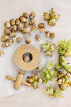 Freshly picked Hazelnuts  Corylus avellana some of them in husks  with vintage wood nutcracker.