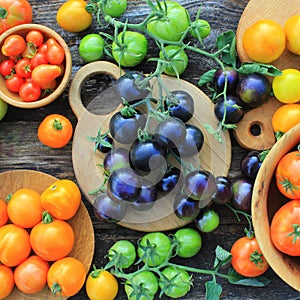 Freshly picked heirloom tomato harvest: pear shaped, beef heart, tigerella, brandywine, cherry, black, indigo rose, green. Organic