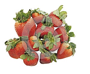 Freshly picked juicy strawberries on a white background