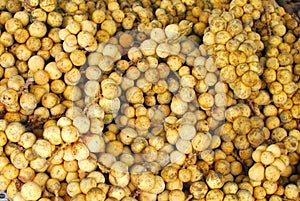 Freshly picked Langsat