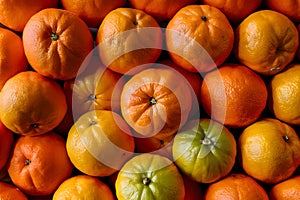 Freshly picked mandarins, ripe and ready to enjoy photo