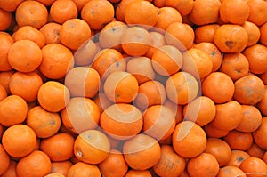 Freshly picked oranges india