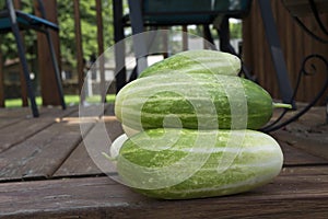 Freshly Picked Organic Cucumbers