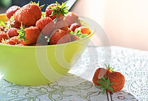 Freshly picked organic strawberries in a bowl