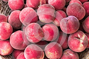 Freshly picked organic white flash peaches in basket