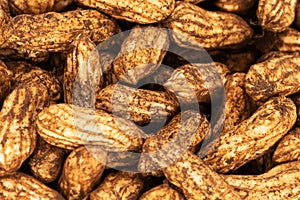 Freshly picked peanuts