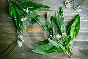 Freshly picked Ramson or wild garlic on kitchen table