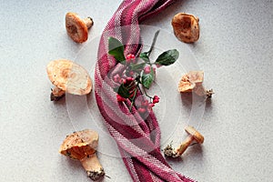 Freshly picked redheads with a striped napkin and a branch on the kitchen table, top view, close-up, the concept of using