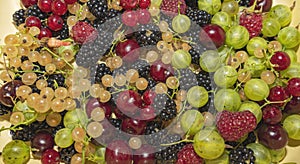 Freshly picked ripe berries: raspberries, blackberries, gooseberries, currants, cherries close-up. A mixture of berries