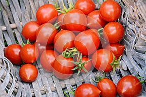 Freshly picked ripe tomatoes in the corner of a basket