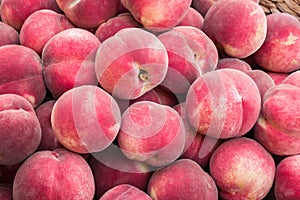 Freshly picked ripe white flash peaches