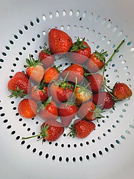 Freshly picked strawberries