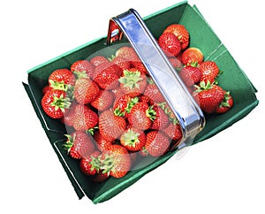 Freshly picked strawberries in a punnet box