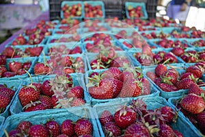 Freshly picked strawberries in a teal punnet at a framers market outdoors