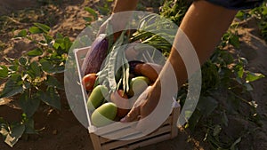 Freshly picked vegetables is ready for local farmers market