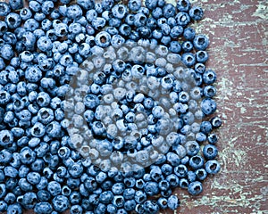 Freshly picked wild blueberries