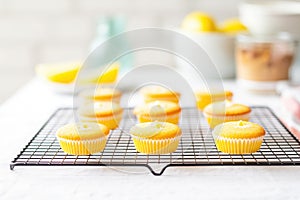 freshly piped cupcakes on cooling rack