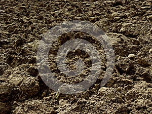 Freshly ploughed field