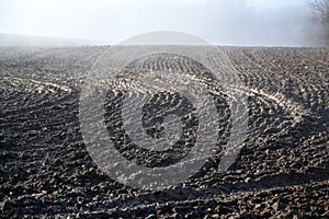 Freshly ploughed field in the morning mist, agriculture landscape, copy space