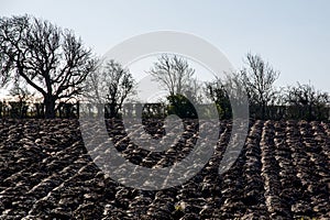 Freshly Ploughed Field in Morning Sunshine Selective Focus