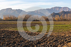 freshly plowed agriculture fields in winter