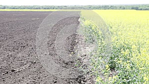 Freshly plowed black earth field day