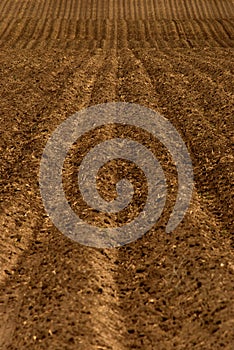 Freshly Plowed Farm Field for Agriculture