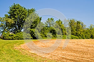 Freshly plowed field