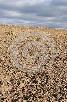 Freshly plowed field