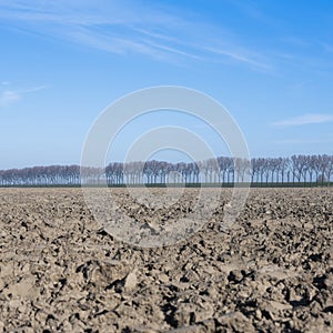 freshly plowed field early spring in the netherlands on the island of goeree en overflakkee