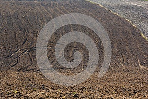 Freshly plowed field ready for planting and seeding in spring