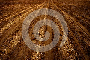 Freshly Plowed Farm Field for Agriculture