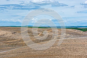 Freshly plowned fields in Eastern Washington