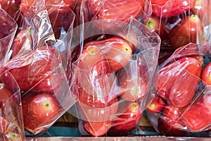 Freshly plucked rose apple fruit or jambu airon display for sale