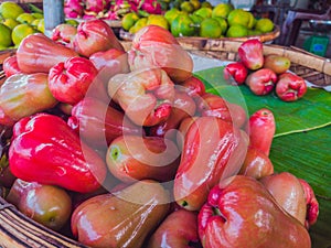 Freshly plucked rose apple fruit or jambu airon display for sale