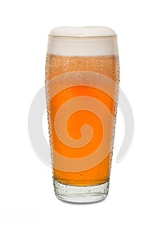 Freshly Poured Craft Pub Beer Glass 4 with Condensation