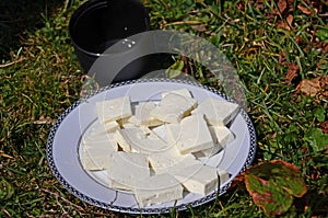 Freshly prepared goat's cheese is hand-made on a round white plate next to a black cup of tea standing on the grass