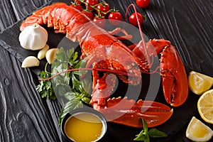 Freshly prepared lobster closeup with lemon, garlic, fresh tomatoes and herbs on a table. horizontal