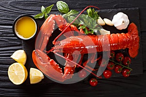 Freshly prepared lobster closeup with lemon, garlic, fresh tomatoes and herbs on a table. Horizontal top view