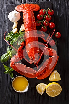 Freshly prepared lobster closeup with lemon, garlic, fresh tomatoes and herbs on a table. Vertical top view