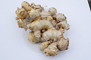 Freshly Reaped Ginger Root