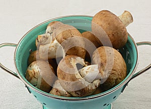 Freshly rinsed baby portabello mushrooms